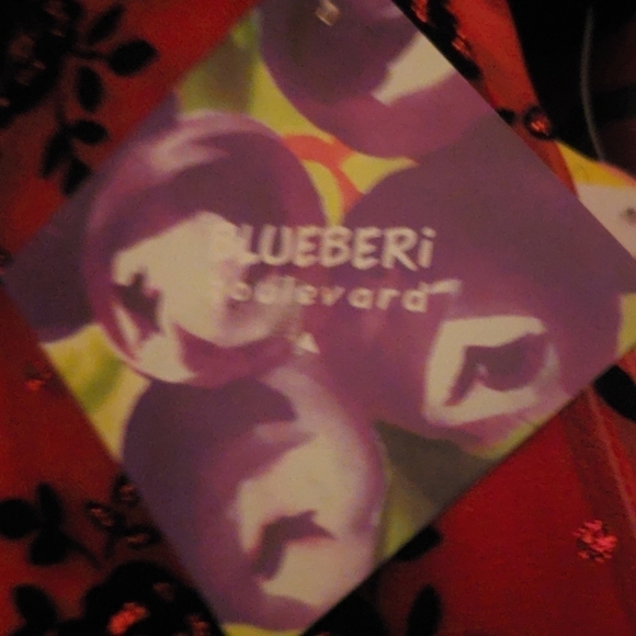 Bluberi Boulevard Red Black Holiday Dress NWT - Picture 11 of 11